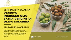 Vendita Ingrosso Olio Extra Vergine di Oliva Calabria - Macrimea
